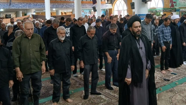 هیهات من الذله
