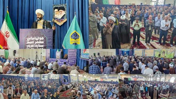 زینب کبری(س)از نهضت کربلا پرستاری کرد.